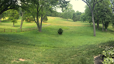 The beautiful country setting surrounding the clinic