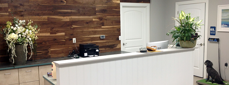 Inside Countryside Animal Clinic — the welcoming front reception area